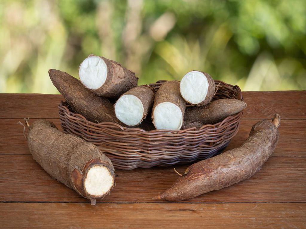 Cassava Products